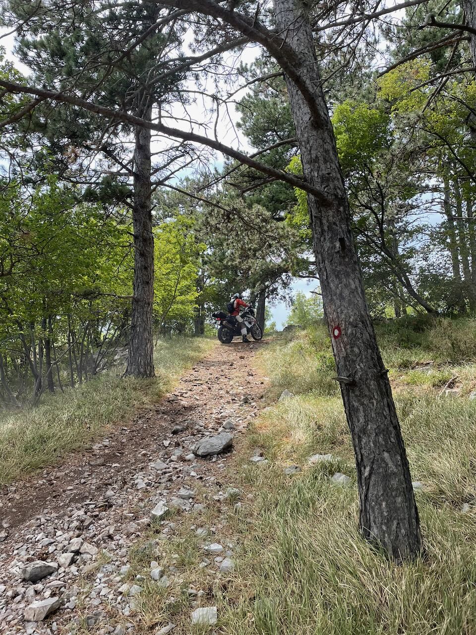 TET trail exploration